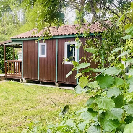 Kemping Avec Terrasse Pour 5 Personnes - Api-1-52-905 *