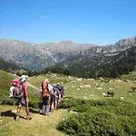 Avec Terrasse Pour 5 Personnes - Api-1-52-905 Camping *