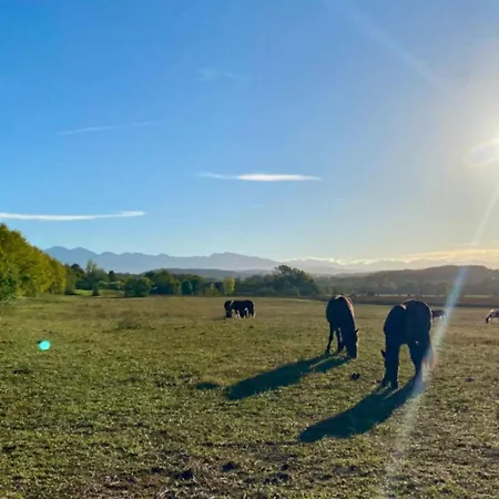 Avec Terrasse Pour 5 Personnes - Api-1-52-905