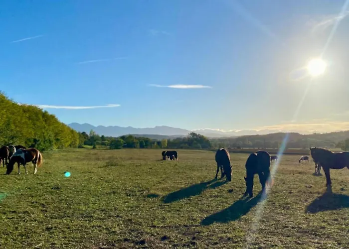 Avec Terrasse Pour 5 Personnes - Api-1-52-905