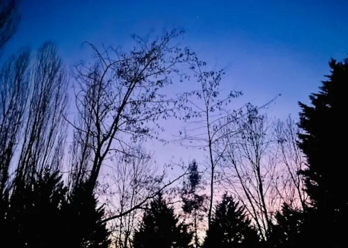 مكان تخييم Avec Terrasse Pour 5 Personnes - Api-1-52-905 *